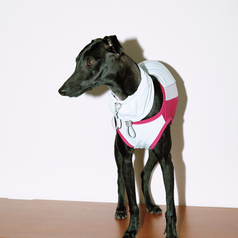 Strap pants T cool jacket