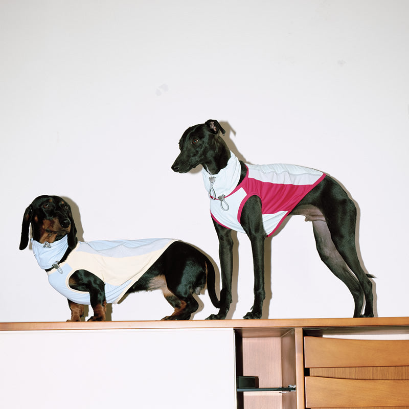 Strap pants T cool jacket