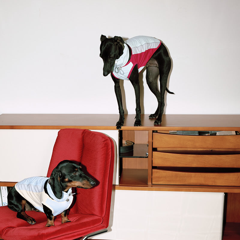 Strap pants T cool jacket